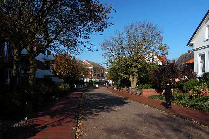 Zedeliusstra&szlig;e im Herbst