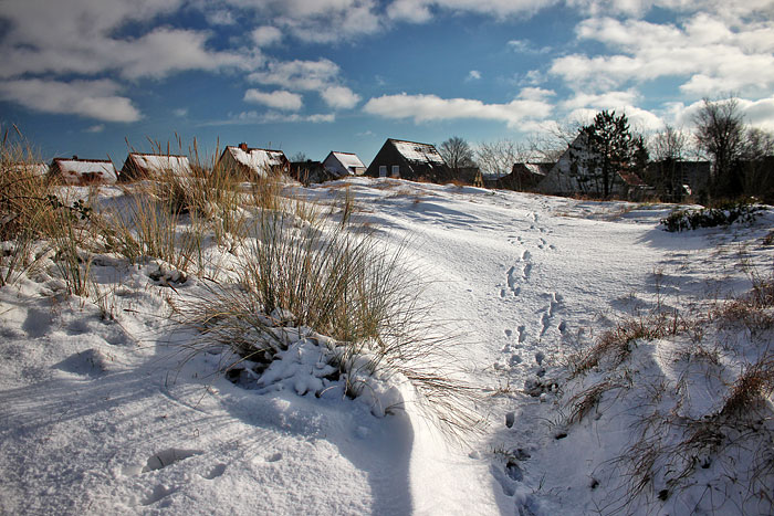 Hasenspuren im Schnee