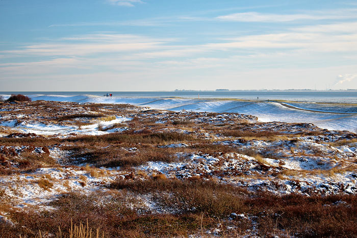 Blick auf Süddeich und Heidedünen