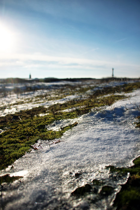Schnee im Fokus
