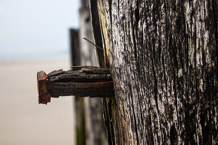 Nagel im Holz