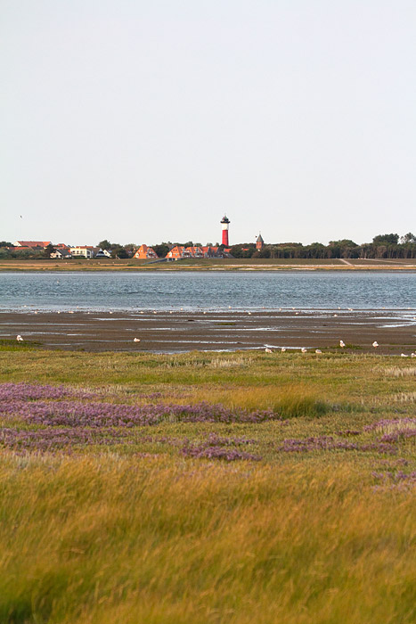 Salzwiesen, Wattenmeer und Dorf