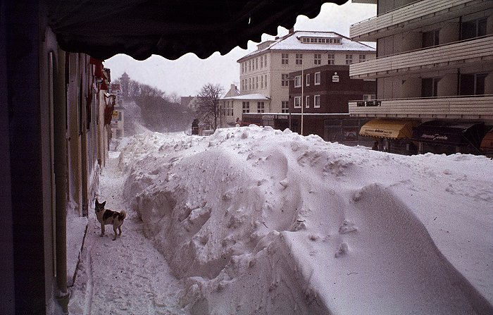 Schneemassen in der Zedeliusstraße