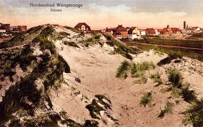 In den Dünen