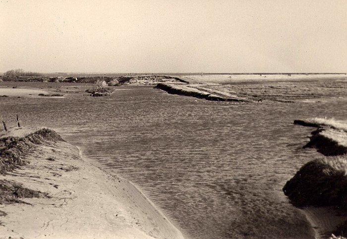 Sturmflut 1962. Bruchstelle am Dorfgrodendeich