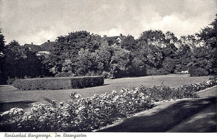 Im Rosengarten