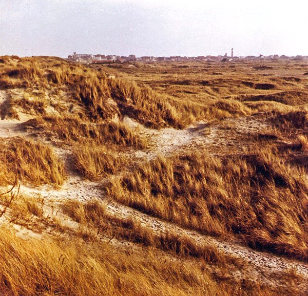 In den Dünen