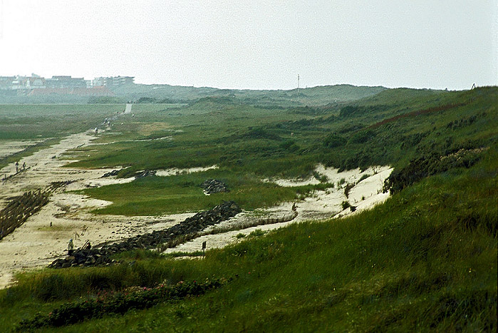 Aus den Ostdünen nach Westen geblickt