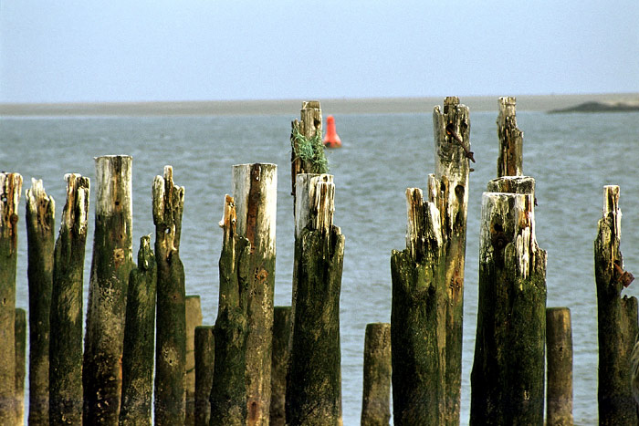 An der Blauen Balje