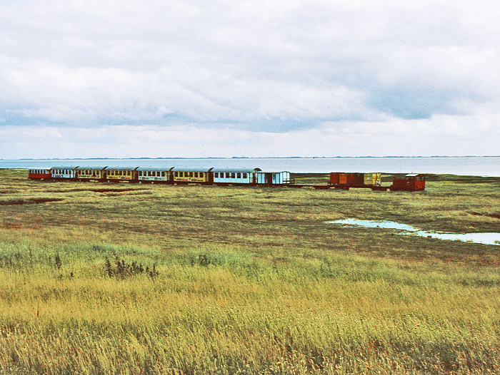 Inselbahn im Deichvorland