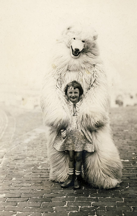 Eisbär im Sommer