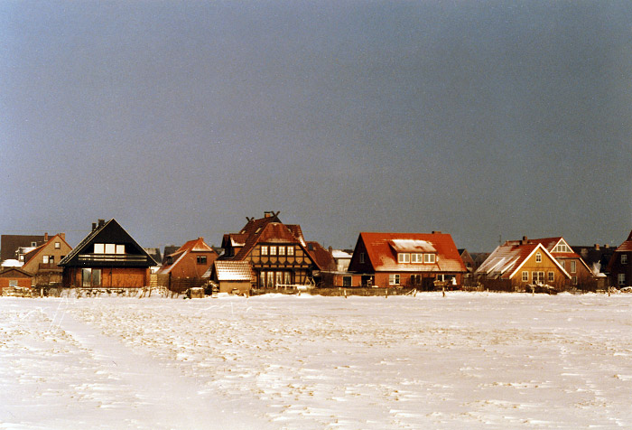 Blick vom Deich in den Dorfgroden