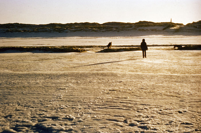 Vereister Inselstrand