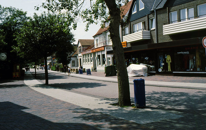 Zedeliusstraße im Frühling