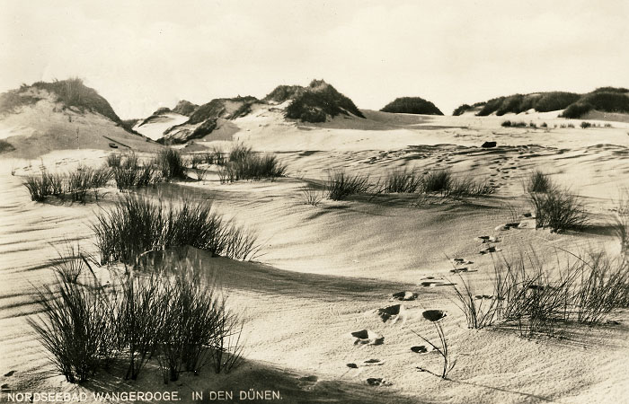 In den Dünen