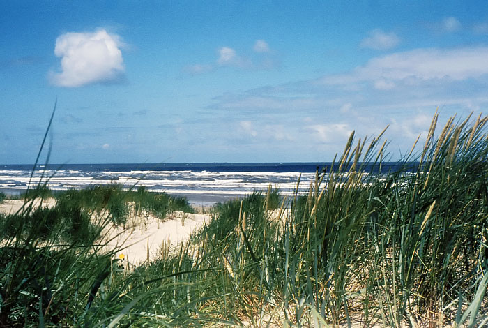 Wangerooger Wei&szlig;d&uuml;nen