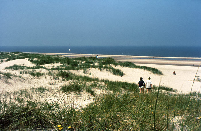 Weißdünen im Osten