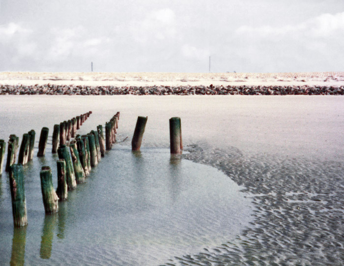 Pfähle am Weststrand
