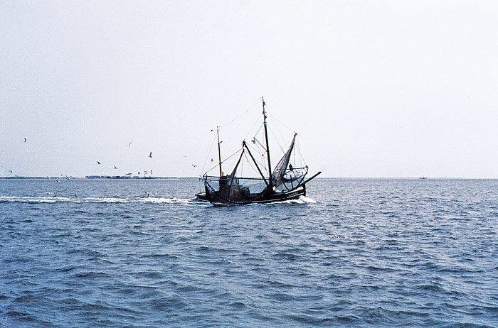 Vorbeiziehender Fischkutter