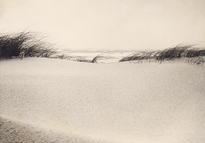 Wei&szlig;d&uuml;nen am Strand