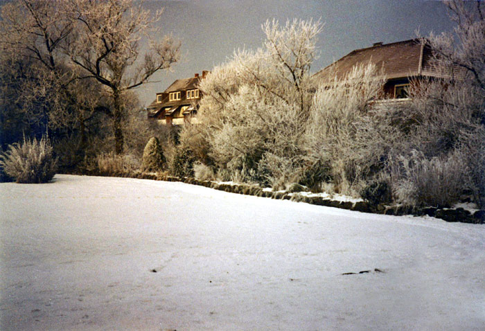Steingarten im Winter