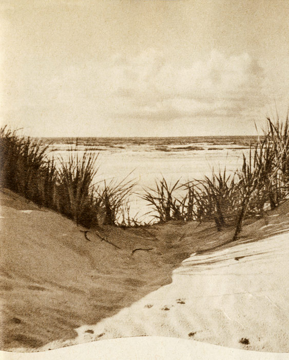 Dünen