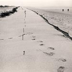 Sandfangz&auml;une im Osten