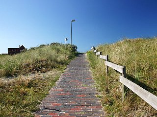 A09994